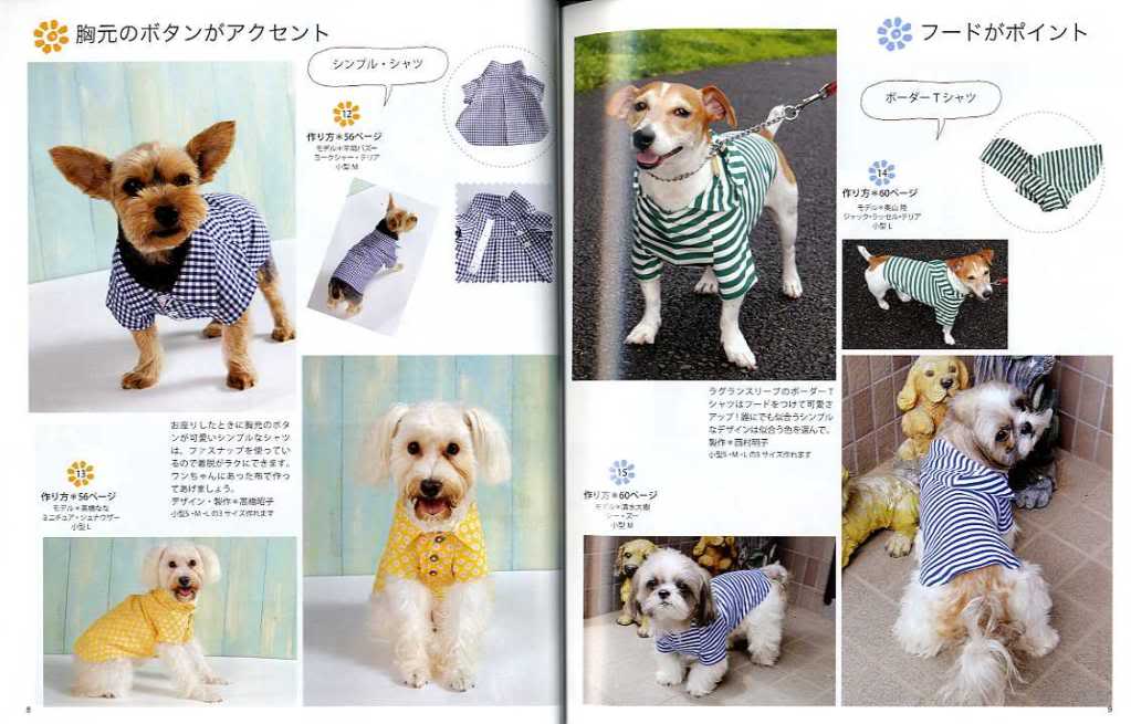 Clothing & Accessories dog